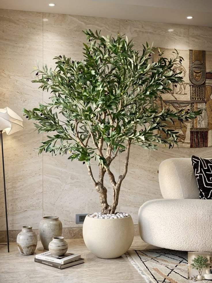 Olive tree on travertine
